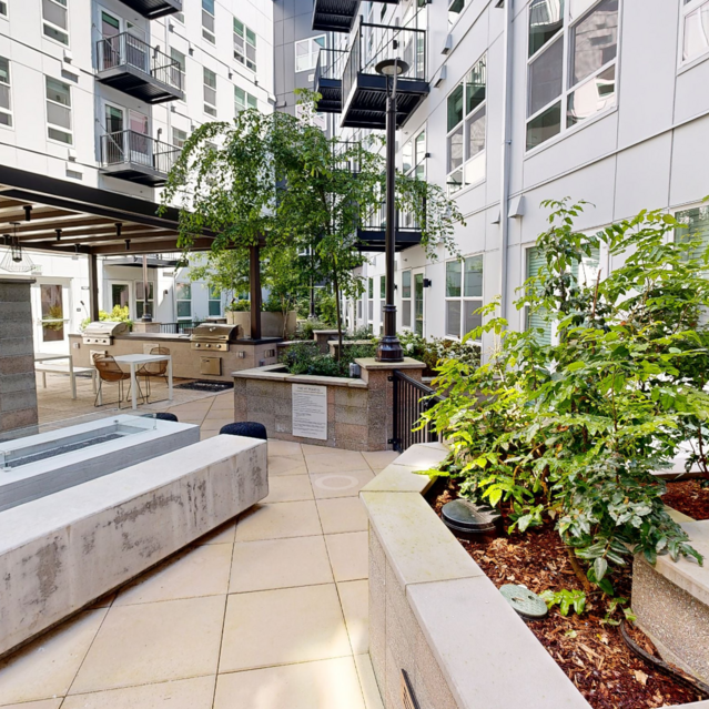 Courtyard - Fire Pit